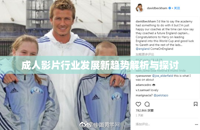 成人影片行业发展新趋势解析与探讨