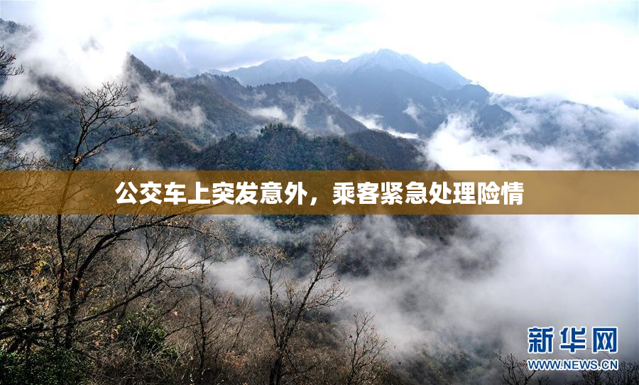 公交车上突发意外，乘客紧急处理险情