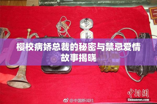 樱校病娇总裁的秘密与禁忌爱情故事揭晓