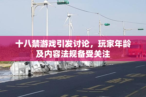 十八禁游戏引发讨论，玩家年龄及内容法规备受关注