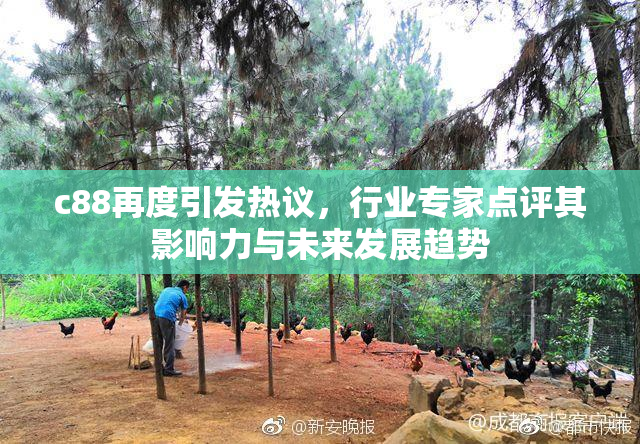 c88再度引发热议，行业专家点评其影响力与未来发展趋势