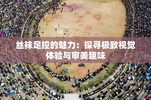 丝袜足控的魅力：探寻极致视觉体验与审美趣味
