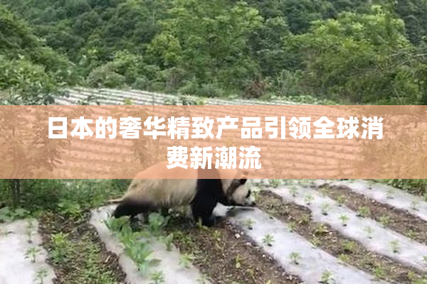日本的奢华精致产品引领全球消费新潮流