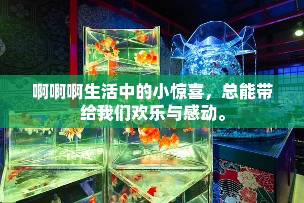 啊啊啊生活中的小惊喜，总能带给我们欢乐与感动。