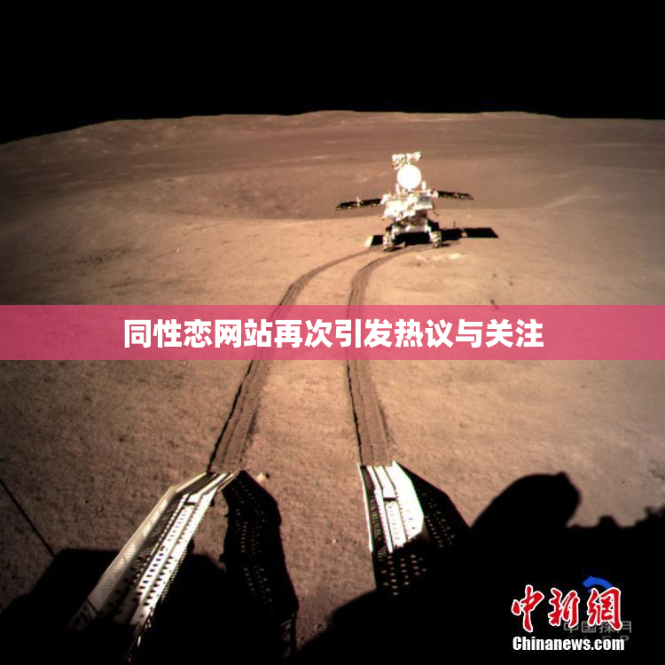 同性恋网站再次引发热议与关注