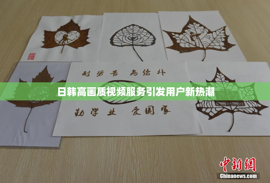 日韩高画质视频服务引发用户新热潮