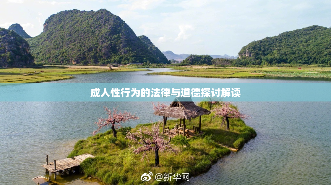 成人性行为的法律与道德探讨解读