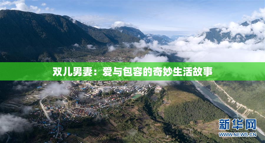 双儿男妻：爱与包容的奇妙生活故事