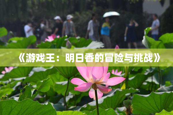 《游戏王：明日香的冒险与挑战》