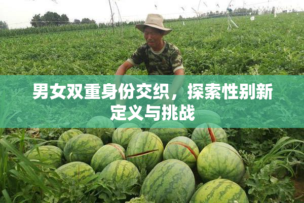 男女双重身份交织，探索性别新定义与挑战
