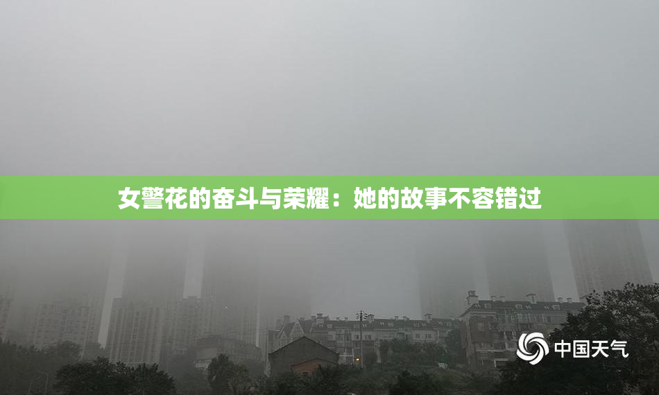 女警花的奋斗与荣耀：她的故事不容错过