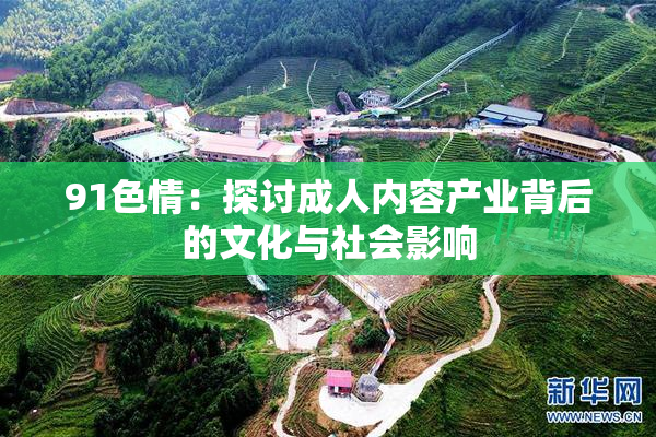 91色情：探讨成人内容产业背后的文化与社会影响