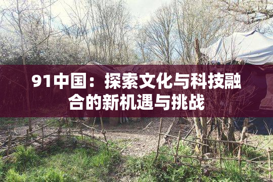 91中国：探索文化与科技融合的新机遇与挑战