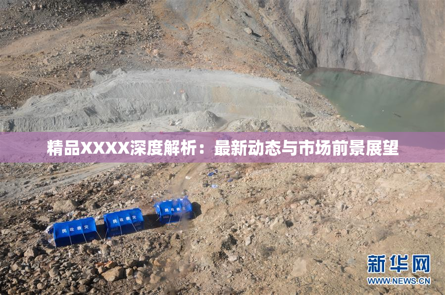 精品XXXX深度解析：最新动态与市场前景展望