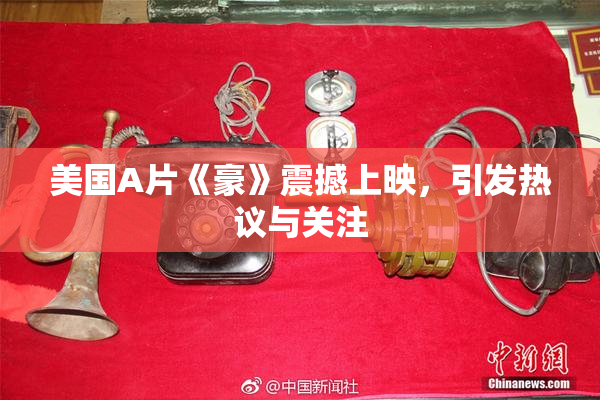 美国A片《豪》震撼上映，引发热议与关注