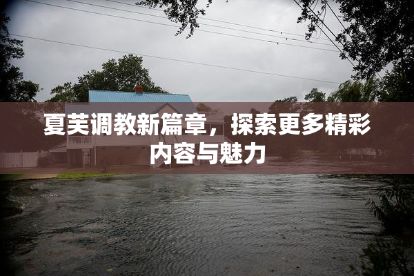 夏芙调教新篇章，探索更多精彩内容与魅力