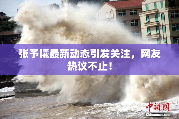 张予曦最新动态引发关注，网友热议不止！
