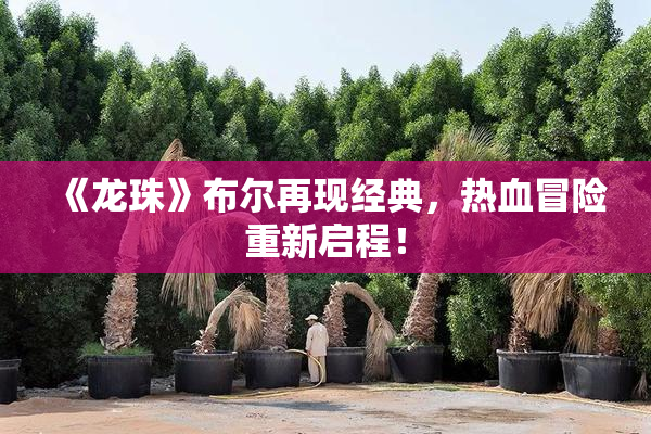 《龙珠》布尔再现经典，热血冒险重新启程！