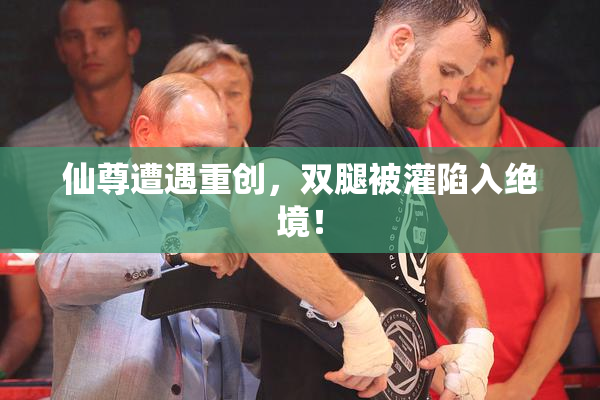 仙尊遭遇重创，双腿被灌陷入绝境！