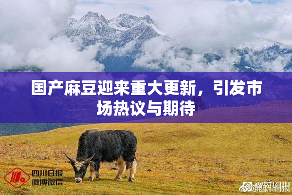 国产麻豆迎来重大更新，引发市场热议与期待