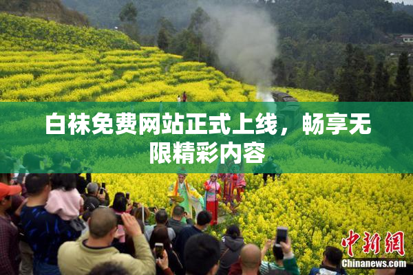 白袜免费网站正式上线，畅享无限精彩内容