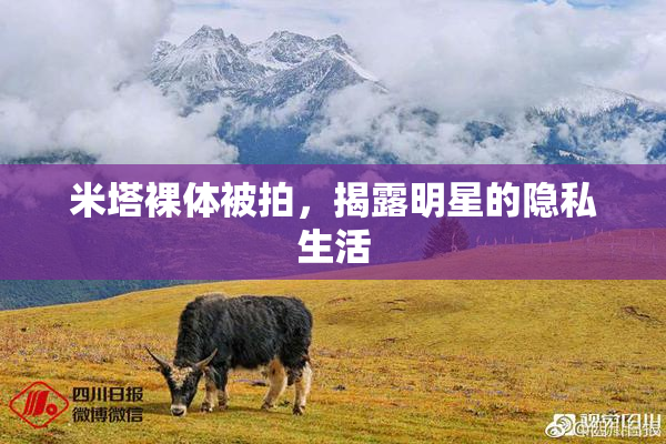 米塔裸体被拍，揭露明星的隐私生活