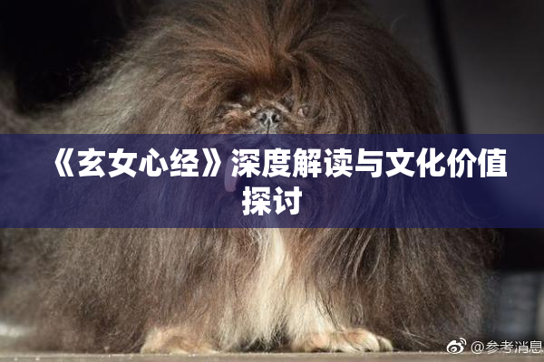 《玄女心经》深度解读与文化价值探讨
