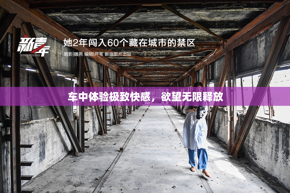 车中体验极致快感，欲望无限释放
