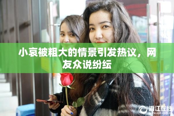 小哀被粗大的情景引发热议，网友众说纷纭