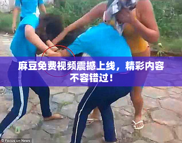 麻豆免费视频震撼上线，精彩内容不容错过！