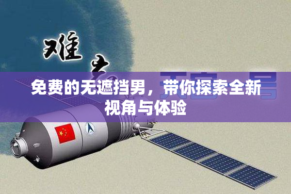 免费的无遮挡男，带你探索全新视角与体验