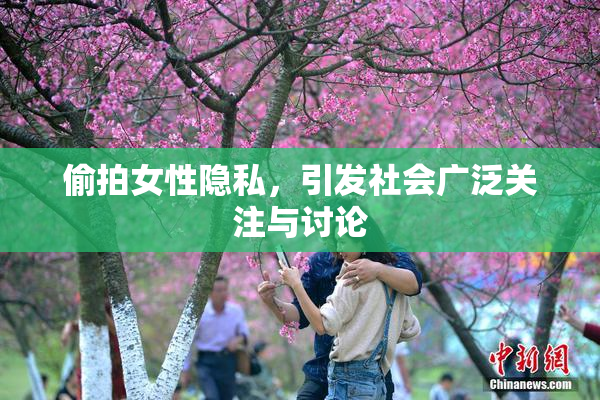 偷拍女性隐私，引发社会广泛关注与讨论
