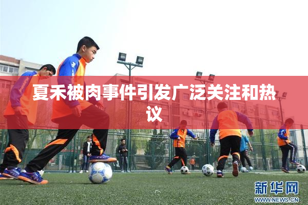 夏禾被肉事件引发广泛关注和热议