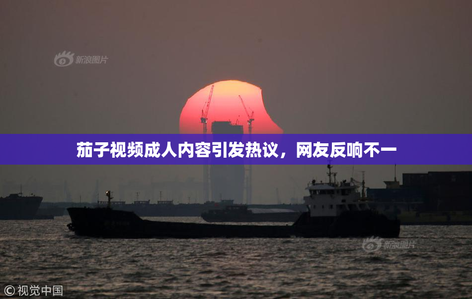 茄子视频成人内容引发热议，网友反响不一