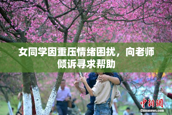 女同学因重压情绪困扰，向老师倾诉寻求帮助