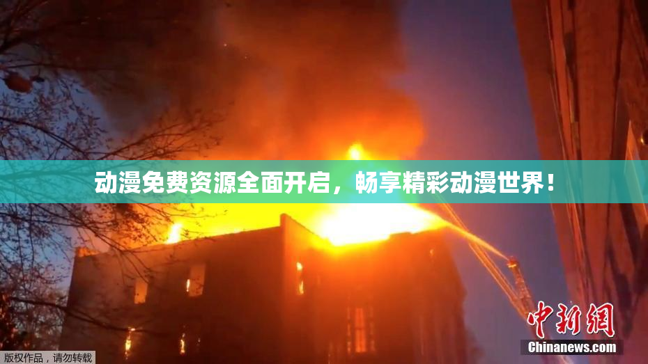 动漫免费资源全面开启，畅享精彩动漫世界！