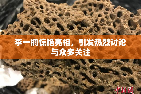 李一桐惊艳亮相，引发热烈讨论与众多关注