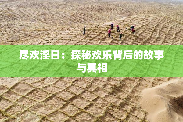 尽欢淫日：探秘欢乐背后的故事与真相