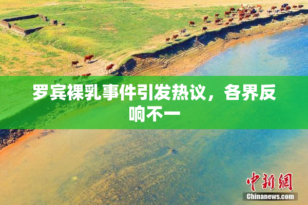 罗宾裸乳事件引发热议，各界反响不一
