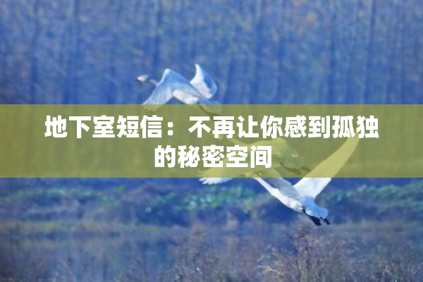 地下室短信：不再让你感到孤独的秘密空间