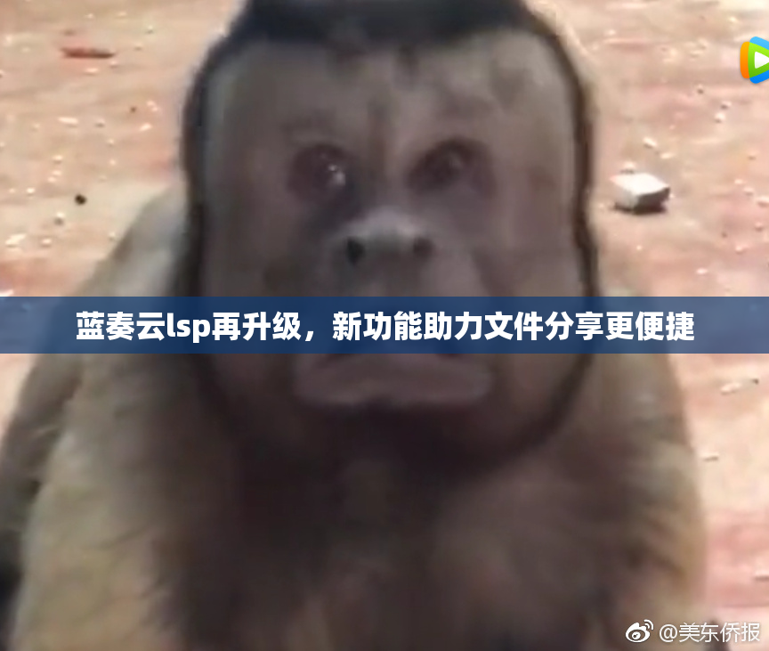 蓝奏云lsp再升级，新功能助力文件分享更便捷