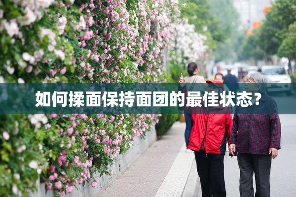 如何揉面保持面团的最佳状态？