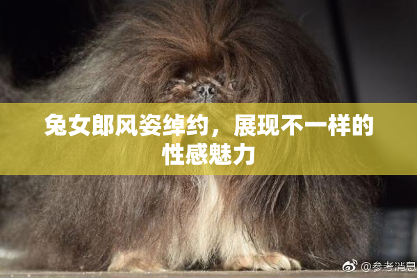 兔女郎风姿绰约，展现不一样的性感魅力