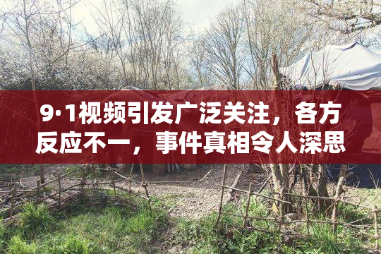 9·1视频引发广泛关注，各方反应不一，事件真相令人深思