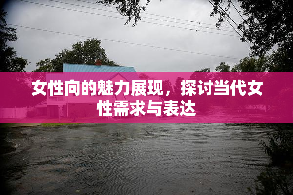 女性向的魅力展现，探讨当代女性需求与表达