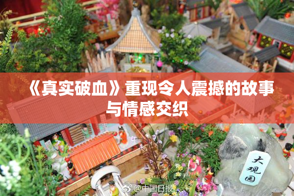 《真实破血》重现令人震撼的故事与情感交织