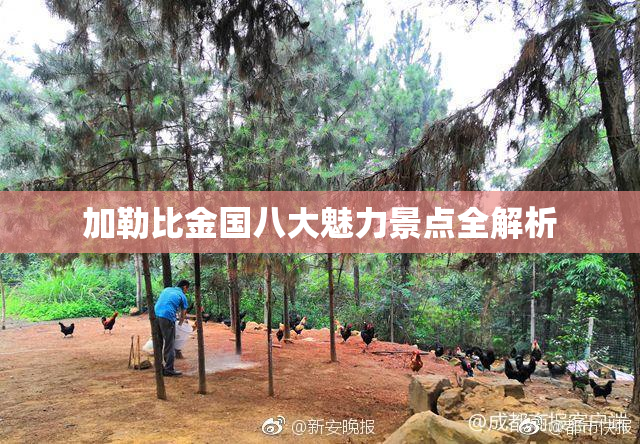 加勒比金国八大魅力景点全解析