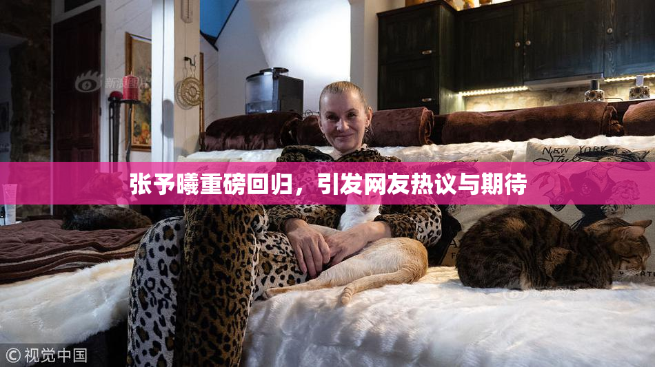 张予曦重磅回归，引发网友热议与期待