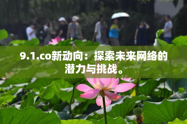 9.1.co新动向：探索未来网络的潜力与挑战。