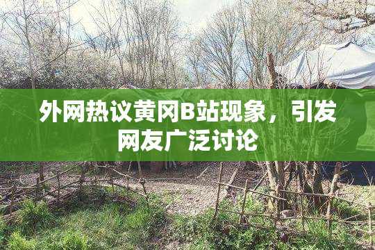 外网热议黄冈B站现象，引发网友广泛讨论